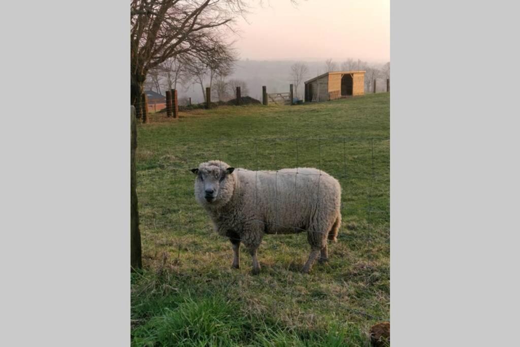 Le Portail Du Mont Montpinchon